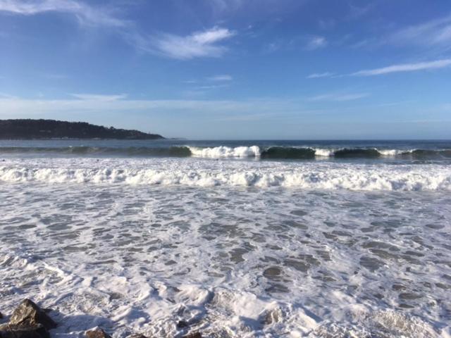 Appartement Les Hirondelles 2Km Plage-Wifi-Jardin-Parking-Draps Et Serviettes Hendaye Esterno foto