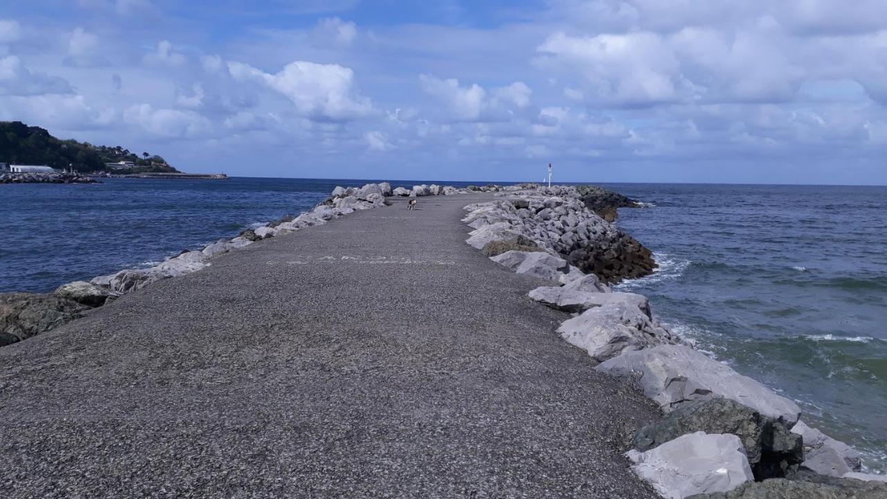 Appartement Les Hirondelles 2Km Plage-Wifi-Jardin-Parking-Draps Et Serviettes Hendaye Esterno foto